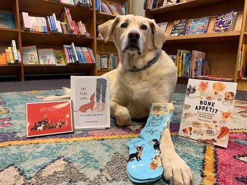 Buffalo Street Books bookstore dog