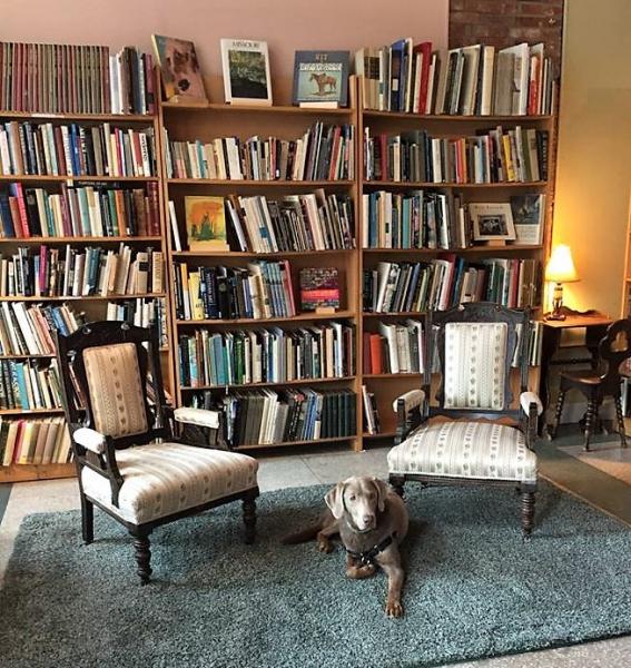 Dunaway Books has new owners whose canine companion Blue is at home among books. 