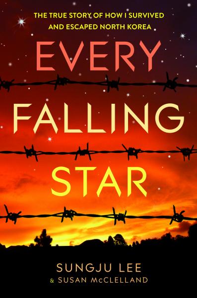 Every Falliing Star cover