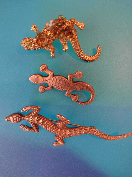 Jewel toned geckos
