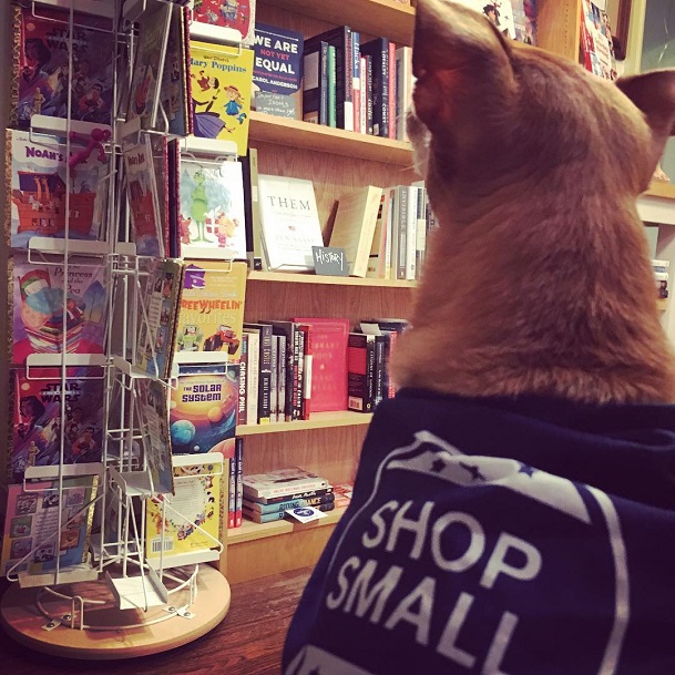 A dog wearing a "Shop Small" sweater at Let's Play Books.