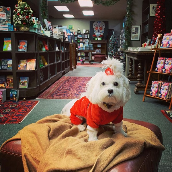 Bookstore dog, Murder by the Book