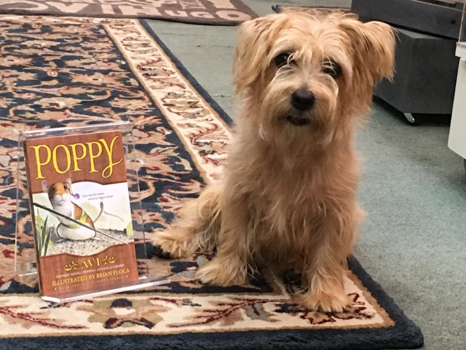 Poppy at Forever Books