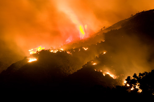 Wildfires have ravaged thousands of acres of northern California wine country since Sunday.