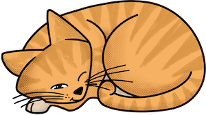 cat sleeping